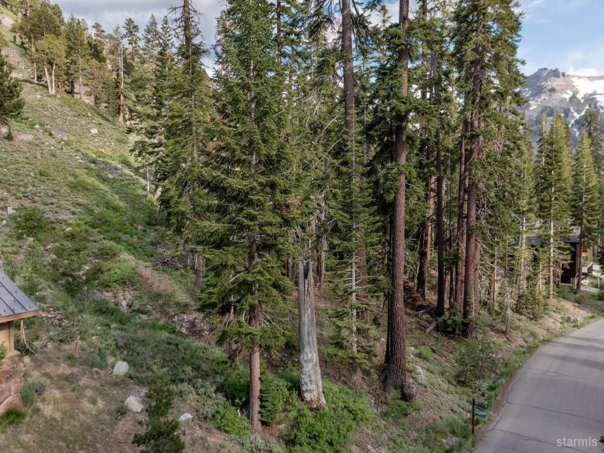 MLS #139713 image #0