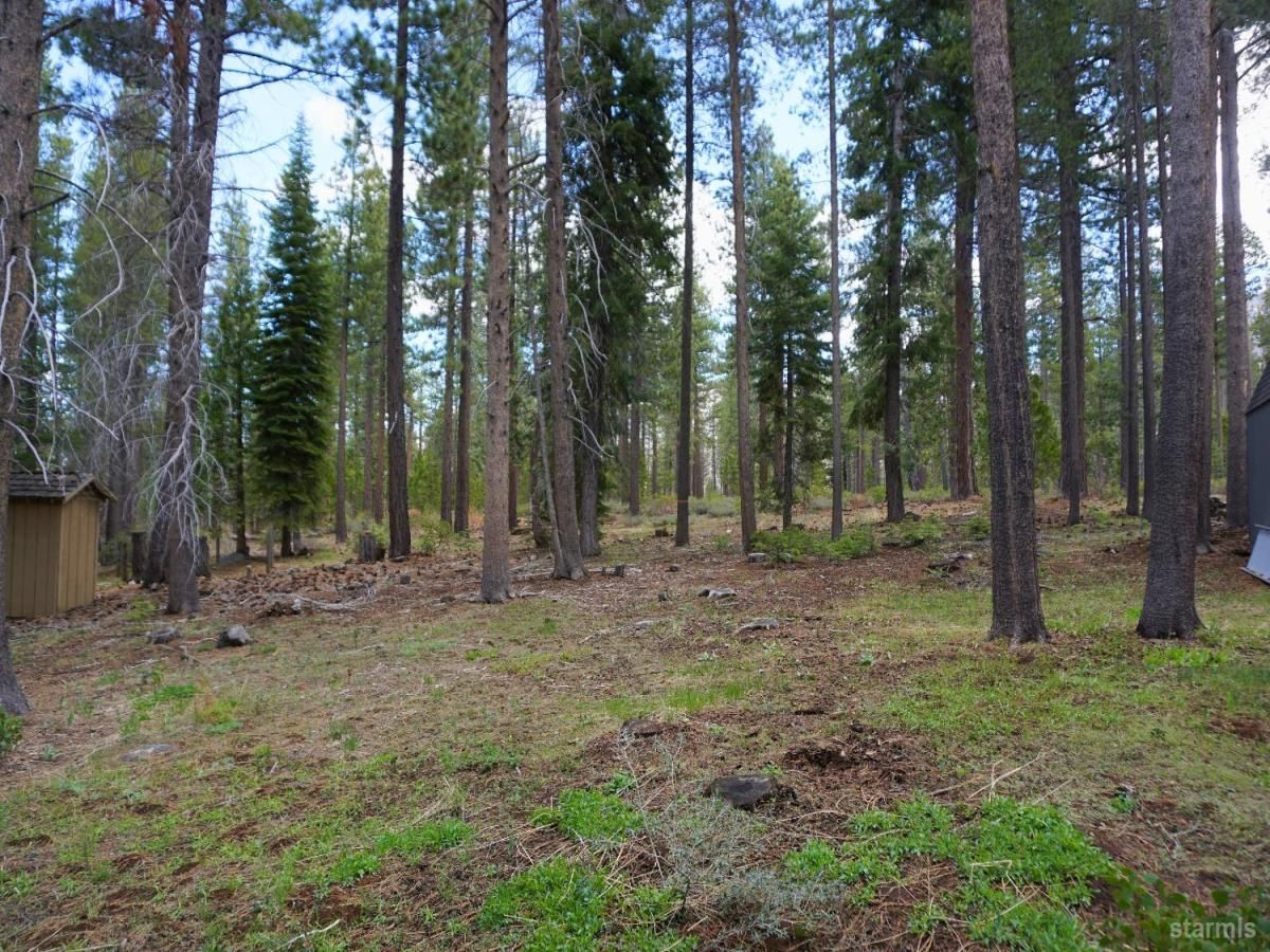 MLS #141287 image #0