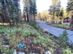 MLS #142120 image #0