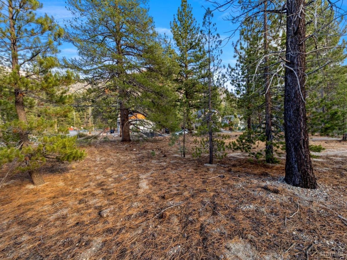 MLS #142263 image #0
