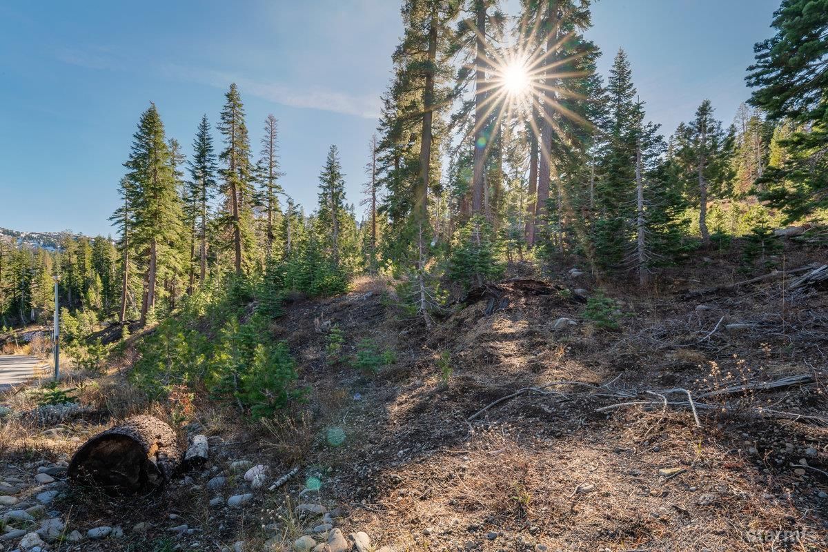 MLS #142324 image #0